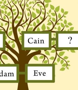 How can you say that the children of Adam and Eve married between themselves?