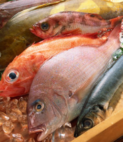 Is seafood Najis (ritually impure)?