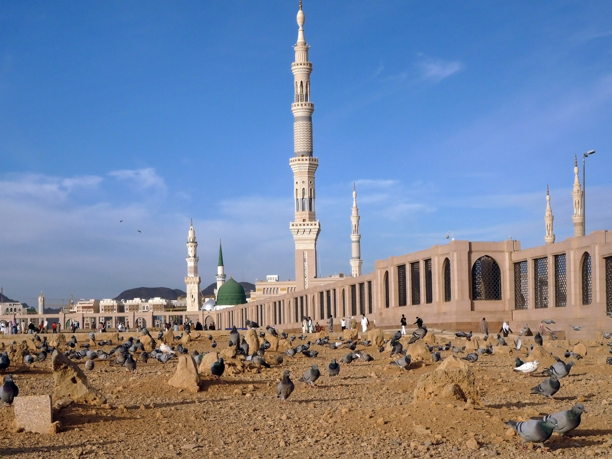 Did Imam Husayn leave behind a sick daughter named Fatima in Medina?