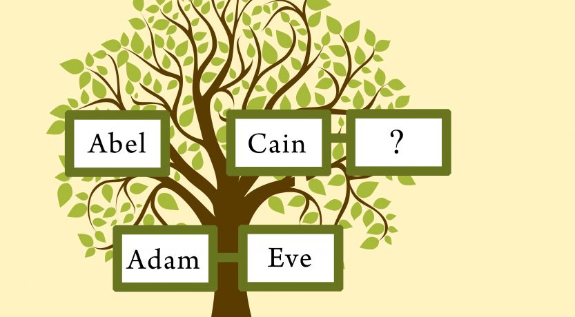 How can you say that the children of Adam and Eve married between ...